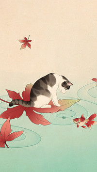 治愈系萌猫壁纸-锐景创意