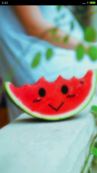 卖萌小瓜（好评抽奖动态）
