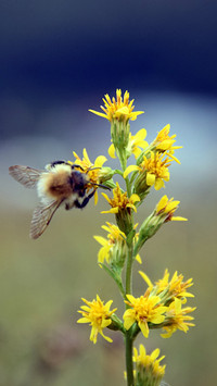 112003_1440x2560.jpg