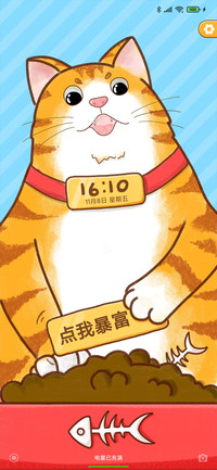 肥猫阿橘