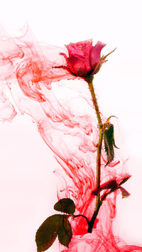 Romantic bouquet-06
