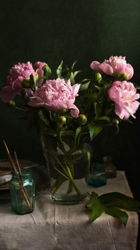 What Flowers Should Be Grown in Autumn and Winter Season 3