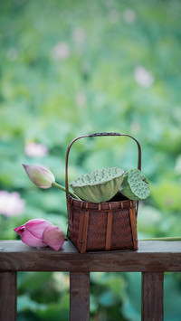 Bamboo basket lotus flower lotus pod