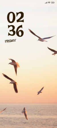 Bird Flock