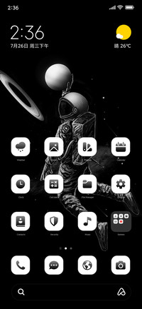Earth Galaxy