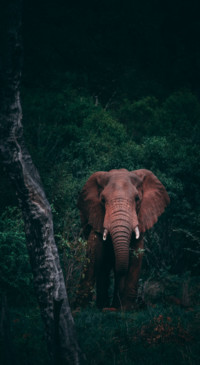 Adventure in Nature (13)
