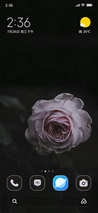 Blossom Rose
