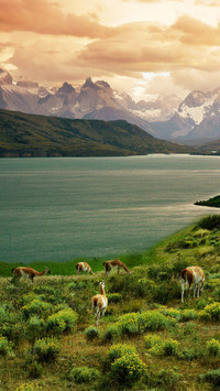 Chinas largest alpine grassland 16