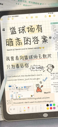 篮球场有暗恋的答案