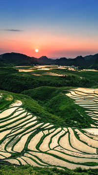 贵州梯田