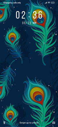 Peacock Feather_3MDP