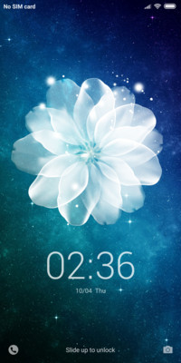 Dream Flower V10