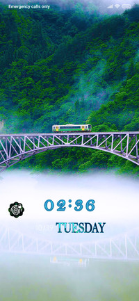 Bridge Anas