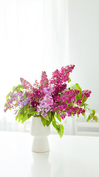A bouquet of lilacs on a white table in a white kitchen