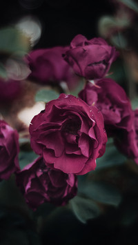 133993_1440x2560.jpg