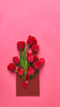 A Letter from Spring