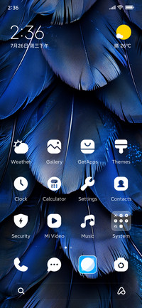 Blue feather