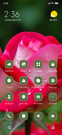 Pink Rose