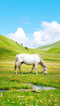 Scenery  (15)