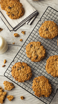 Correct Practices for Oat Biscuits 5