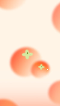 Persimmon