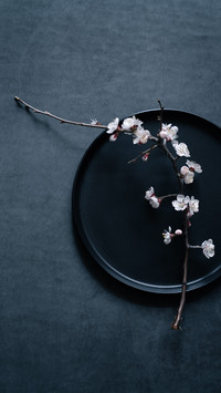 A peach blossom on a black plate