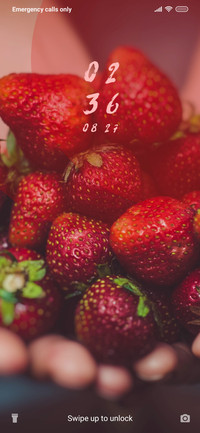 Berries_3MDS