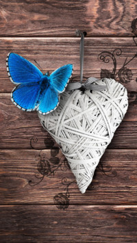 Butterfly (5)