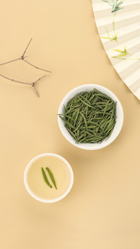 喝茶是对健康的投资