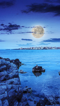 Gentle moonlight-01