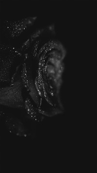 Black and White Photography Art