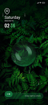 Forest