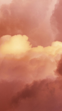 VCG41N1189126584