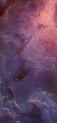 hong_star