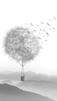 Dandelion (3)