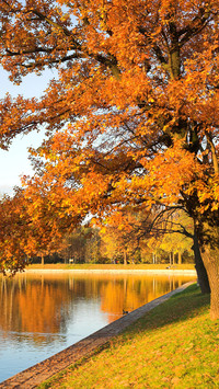 Autumn Scenery On Earth
