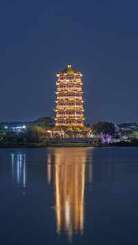 广东的城市夜景