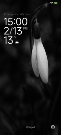 NULL BLACK