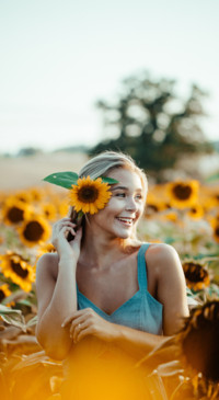 Sunflower Dream (3)