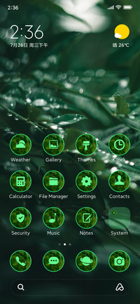 rain forest