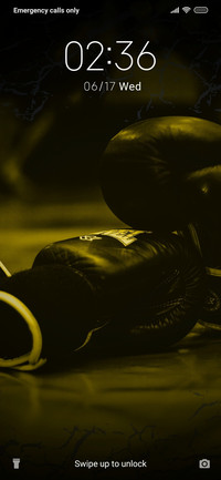 Boxing_3MDS
