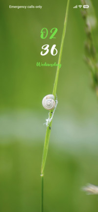 White Snail