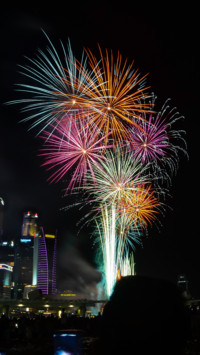 Fireworks (9)