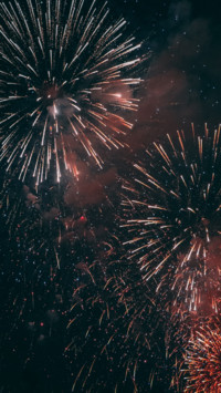Fireworks (15)