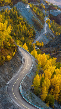 前进的道路