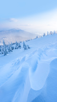 想撒欢玩雪就来这里