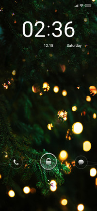 Xmas tri