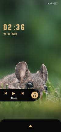 Wildlife_Rat
