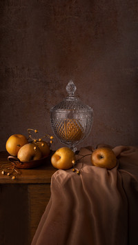 Still life composition photographed in studio