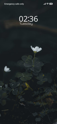 Pure Calm